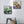 Plants Illustration Wall Art with Frame - Staunton and Henry