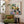 Plants Illustration Wall Art with Frame - Staunton and Henry