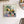 Plants Illustration Wall Art with Frame - Staunton and Henry