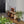 Square Wood and Rattan Side Table - Staunton and Henry