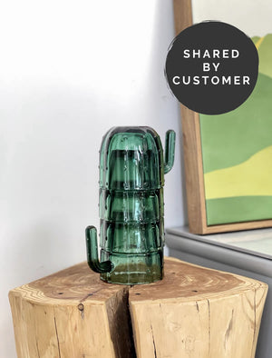 Green Cactus Glasses - Set of 6 - Staunton and Henry
