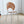 Halo Bauhaus Dining Chair - Staunton and Henry