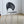 Halo Bauhaus Dining Chair - Staunton and Henry