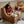 Lumiere Caterpillar Lounge Chair - Staunton and Henry