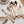 Arden Rose Gold Stainless Steel Cutlery Set - Staunton and Henry