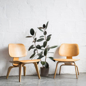 Replica Eames LCW Chair