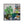 Plants Illustration Wall Art with Frame - Staunton and Henry