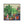 Plants Illustration Wall Art with Frame - Staunton and Henry
