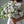 Load image into Gallery viewer, Colorful Artificial Flower Bouquet - Staunton and Henry
