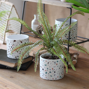 Terrazzo Pattern Plant Pots - Set of 4 - Staunton and Henry