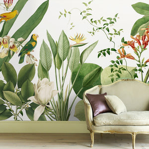 Birds of Paradise Tropical Wall Mural - Staunton and Henry