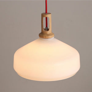 Frosted Beaker Pendant Light - Staunton and Henry