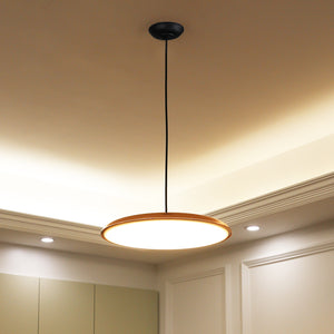 Slimline Modern Ceiling Light - Staunton and Henry