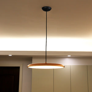 Slimline Modern Ceiling Light - Staunton and Henry