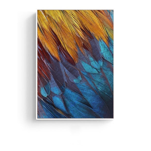 Feathers Photographic Wall Art with Frame - Staunton and Henry