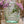 Pink Tote Bag Glass Vase - Staunton and Henry