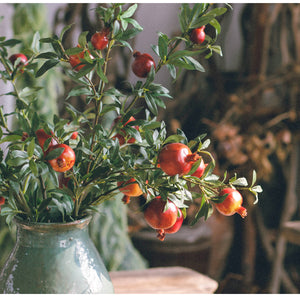 Artificial Pomegranate Fruit Plant - Staunton and Henry