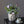 Load image into Gallery viewer, Potted Faux Cactus and Succulent Flower Arrangement - Staunton and Henry
