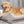 Washable Grey Latex Pet Bed - Staunton and Henry