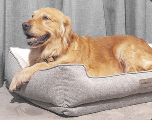 Washable Grey Latex Pet Bed - Staunton and Henry
