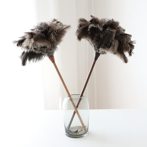 Ostrich Feather Duster - Staunton and Henry