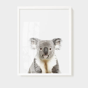 Animal Wall Arts for Kids Room - Staunton and Henry