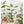 Artificial Monstera Plant - Staunton and Henry