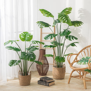 Artificial Monstera Plant - Staunton and Henry