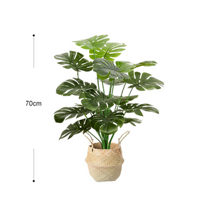 Artificial Monstera Plant - Staunton and Henry