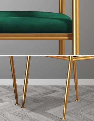 Ella Velvet Dining Chairs with Gold Legs (Set of 2) - Staunton and Henry