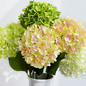 White Hydrangea Silk Flowers Stem - Staunton and Henry