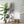 Artificial Monstera Plant - Staunton and Henry