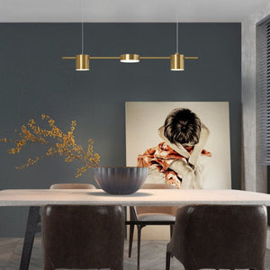 Modern Linear Gold Hanging Track Lights - Staunton and Henry