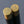 Load image into Gallery viewer, Ebony Wood Chopsticks - Set of 5 - Gold - Staunton and Henry
