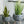 Modern Moroccan Planter with Legs - Staunton and Henry