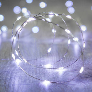 Mini LED Fairy Lights with Battery - Staunton and Henry