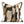 Load image into Gallery viewer, Herman Art Deco Throw Cushion - Staunton and Henry
