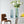 Tapered Colored Glass Vase with Gold Rim - Staunton and Henry