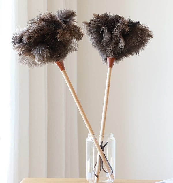 Ostrich Feather Duster — Sunday Shop