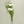 Carnation Silk Flowers - Set of 3 Stems - Staunton and Henry