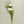 Load image into Gallery viewer, Carnation Silk Flowers - Set of 3 Stems - Staunton and Henry
