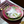 Jungle Safari Dessert and Dinner Plate Set - Staunton and Henry