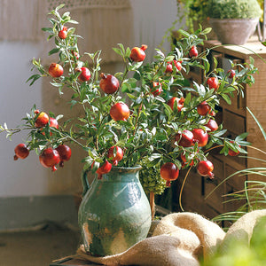 Artificial Pomegranate Fruit Plant - Staunton and Henry