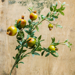 Artificial Pomegranate Fruit Plant - Staunton and Henry