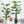 Artificial Monstera Plant - Staunton and Henry