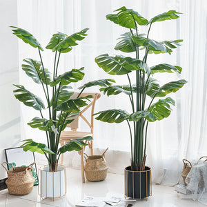 Artificial Monstera Plant - Staunton and Henry