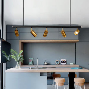 Modern Brass Hanging Track Lights - Staunton and Henry