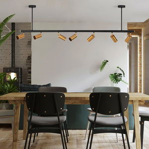 Modern Brass Hanging Track Lights - Staunton and Henry