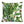 Tropical Green Throw Cushion - Staunton and Henry