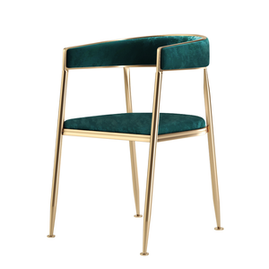 Ella Velvet Dining Chairs with Gold Legs (Set of 2) - Staunton and Henry